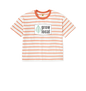 Coral Stripes Printed T-shirt Front
