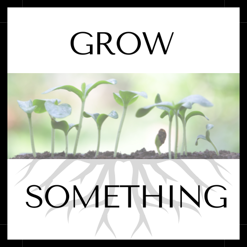 Grow Something!